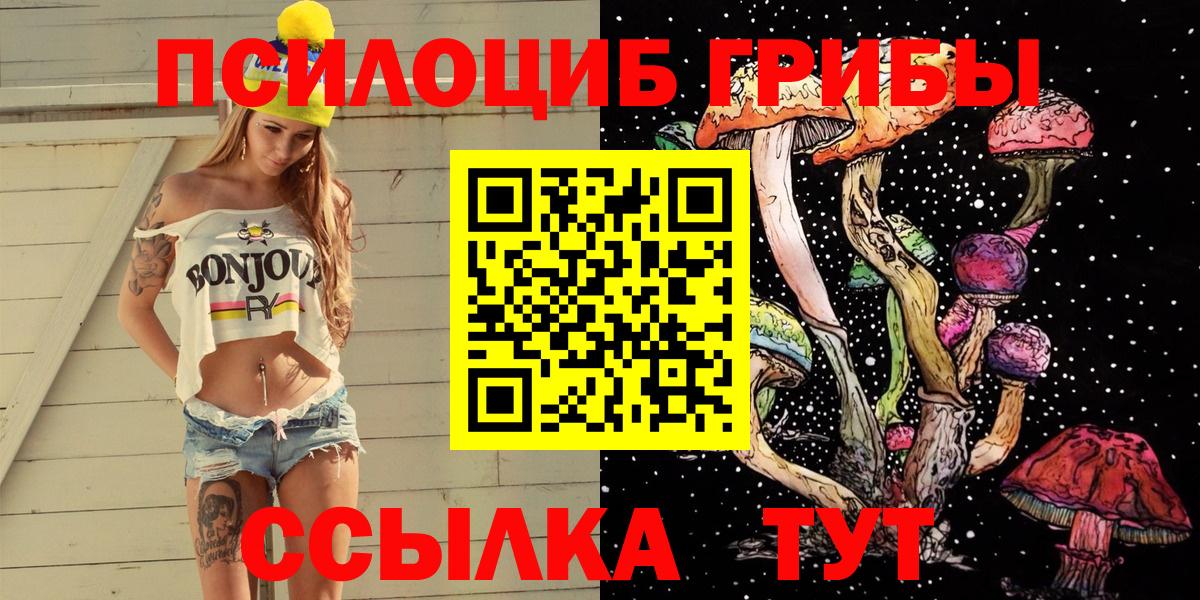 Оренбург  Галлюциногенные грибы MAGIC MUSHROOMS  Галлюциногенные грибы Psilocybe  Вход с VPN 